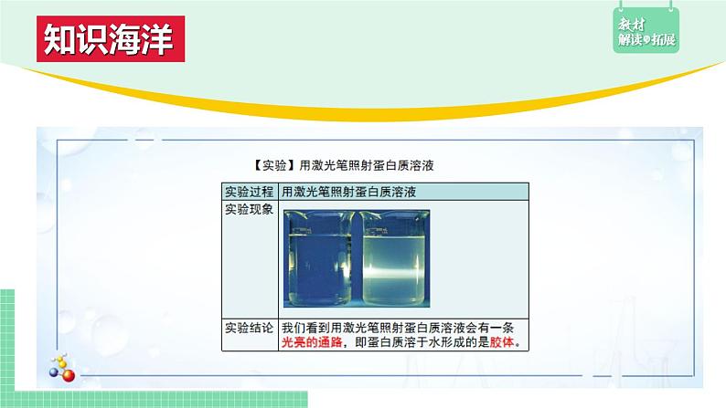 4.2.2 蛋白质课件PPT07