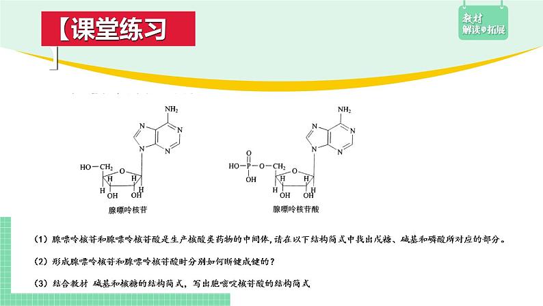 4.3 核酸课件PPT07