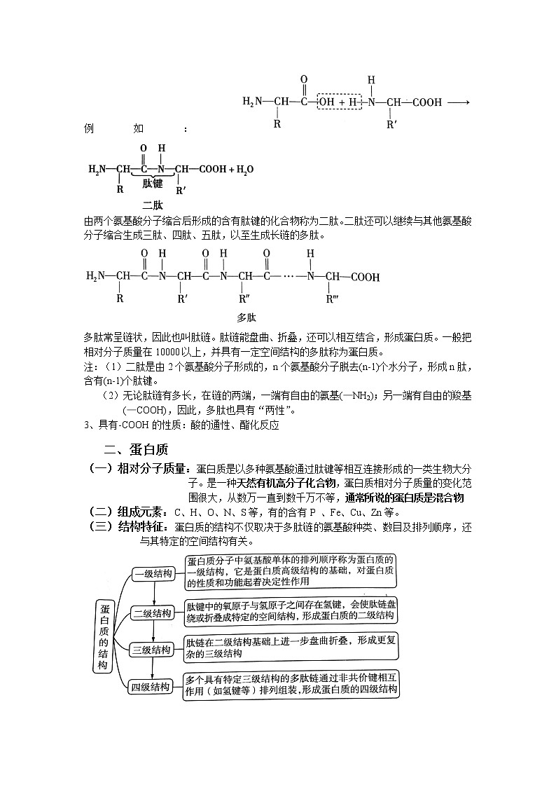 4.2 蛋白质 基础知识【新教材】 学案02