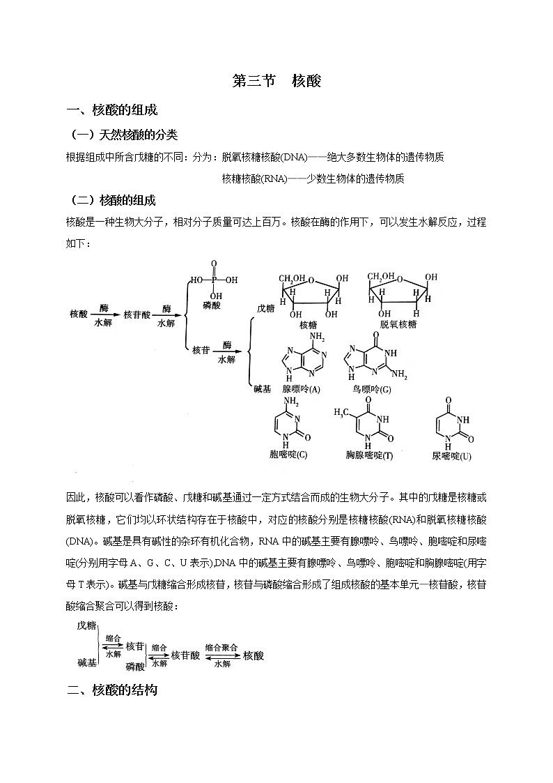 4.3  核酸 基础知识【新教材】 学案01