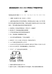 安徽省合肥市肥东县综合高中2022-2023学年高三下学期开学考试化学试题（Word版含答案）