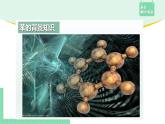 2.3.1 苯课件PPT