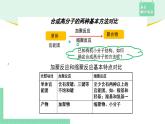 5.1.2 由高聚物找單體課件PPT