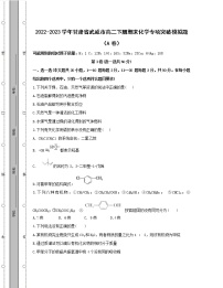 2022-2023学年甘肃省武威市高二下册期末化学专项突破模拟题（AB卷）含解析