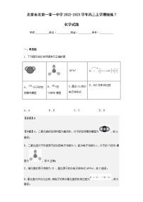 2022-2023学年北京市北京一零一中学高三上学期统练7化学试题含解析