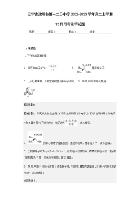 2022-2023学年辽宁省沈阳市第一二〇中学高二上学期12月月考化学试题含解析