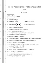 2022-2023学年湖北省武汉市高一下册期末化学专项突破模拟题（AB卷）含解析