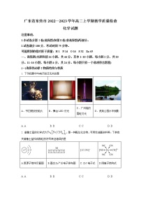 广东省东莞市2022-2023学年高二上学期期末考试 化学（解析版）