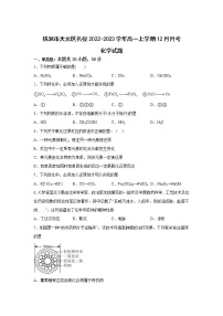 湖南省株洲市天元区名校2022-2023学年高一上学期12月月考化学试卷