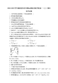 2022-2023学年湖南省长沙市麓山国际实验学校高一（上）期末化学试卷（含答案解析）