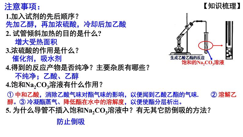 2023届高三化学一轮复习  第11课时  羧酸 酯  课件第6页