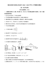 2023湖北省部分省级示范高中（四校联考）高二上学期期末测试化学试题含答案