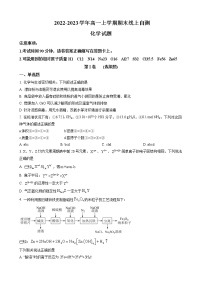 山东省临沂重点中学2022-2023学年高一上学期期末化学试题（解析版）