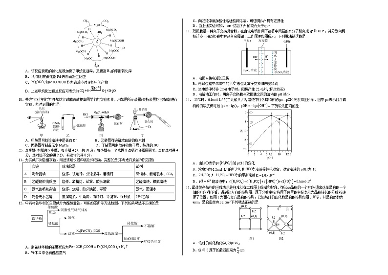2023年高考第一次模拟考试卷：化学（山东A卷）（考试版）版第2页