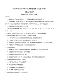 2023年高考第一次模拟考试卷：化学（山东B卷）（考试版）版(1)