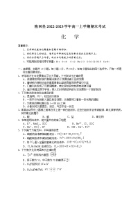 湖南省邵阳市隆回县2022-2023学年高一上学期期末考试化学试题