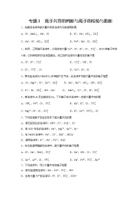 高一上化学专题1 离子共存的判断与离子的检验与推断不含答案