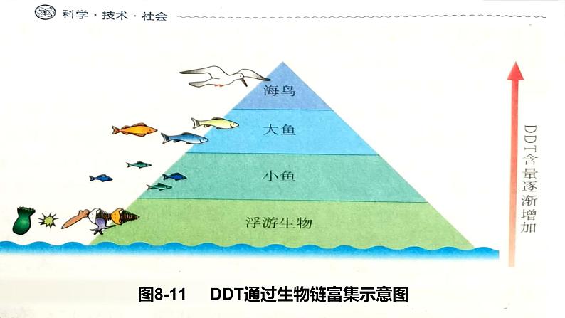 8.2《化学品的合理使用》课件第8页