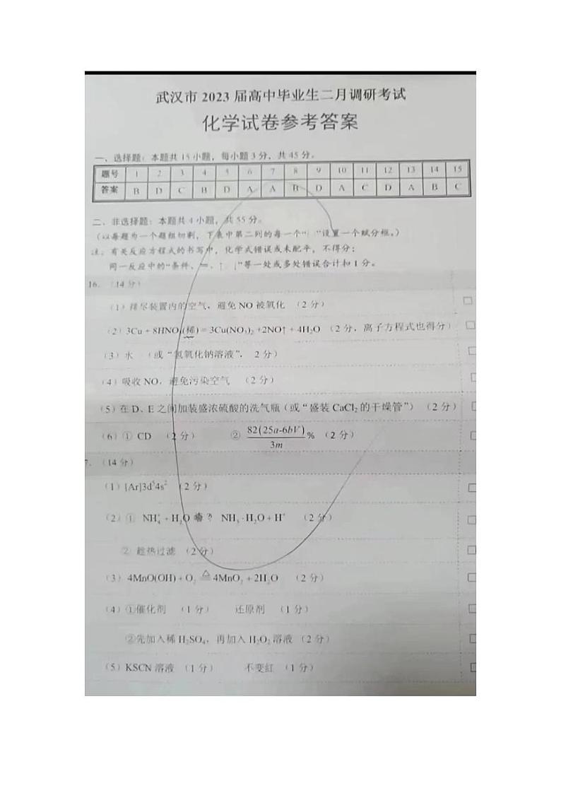 2023武汉高三下学期2月调研考试化学PDF版含答案01