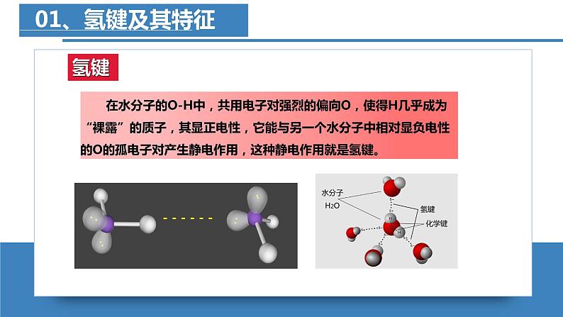 高二化学人教版2019选择性必修二2.3.4分子结构与物质的性质（第4课时 氢键及其对物质性质的影响） 课件+练习含解析06