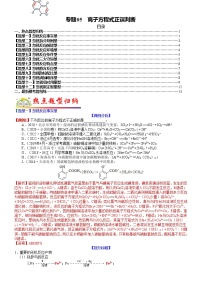 【新高考】2023年高考化学二轮题型精讲精练——专题05 离子方程式正误判断