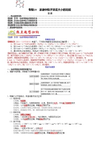 【新高考】2023年高考化学二轮题型精讲精练——专题20 溶液中粒子浓度大小的比较