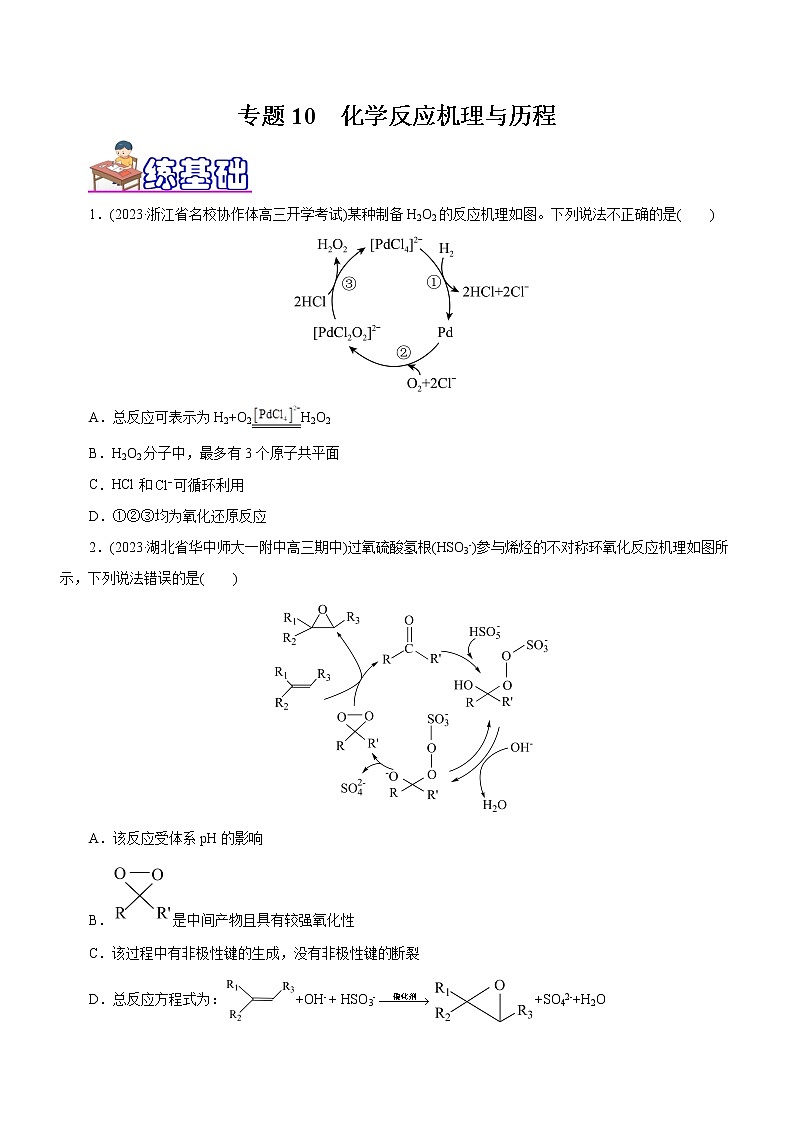 专题10  化学反应机理与历程（练）（原卷版）第1页