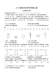 2023届山东省高考考向核心卷化学试题及答案（新高考卷）