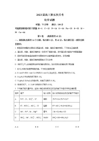 湖南省邵阳市顶级中学2023届高三第五次月考试题 化学（解析版）