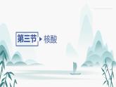 第三节 核酸课件PPT
