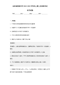 2022-2023学年山东省实验中学高三第三次诊断考试化学试题含解析