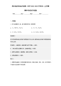 2022-2023学年四川省泸州市泸县第一中学高一上学期期中考试化学试题含解析