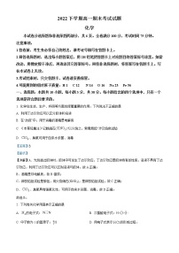 2022-2023学年湖南省宁乡市高一上学期期末联考考试化学试题（解析版）