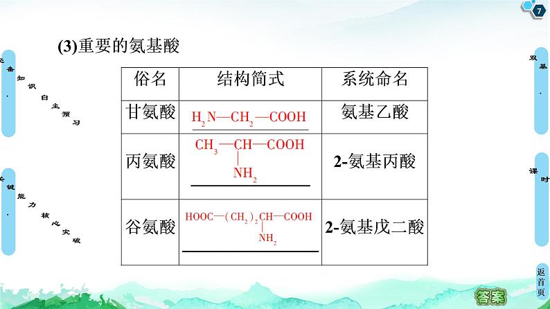 第4章  第2节　蛋白质 课件【新教材】人教版（2019）高中化学选择性必修3第7页