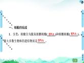 第4章  第3节　核酸 课件【新教材】人教版（2019）高中化学选择性必修3