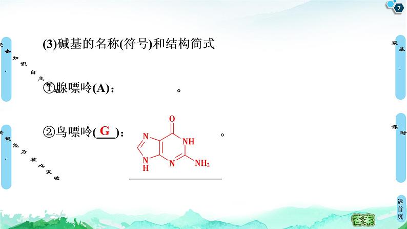 第4章  第3节　核酸 课件【新教材】人教版（2019）高中化学选择性必修307