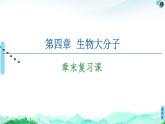 第4章  章末复习课 课件【新教材】人教版（2019）高中化学选择性必修3