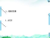 第3章  章末复习课 课件【新教材】人教版（2019）高中化学选择性必修3