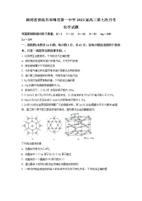 湖南省娄底市双峰县重点中学2023届高三第七次月考化学试卷（解析版）