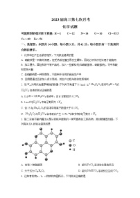 湖南省宁乡市重点高级中学2023届高三第七次月考化学试卷（解析版）