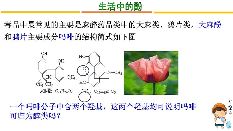 3.2.2醇酚课件2022-2023学年高二化学人教版（2019）选择性必修302