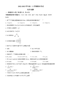 内蒙古通辽市开鲁县重点中学2022-2023学年高一上学期期末考试化学试题（解析版）