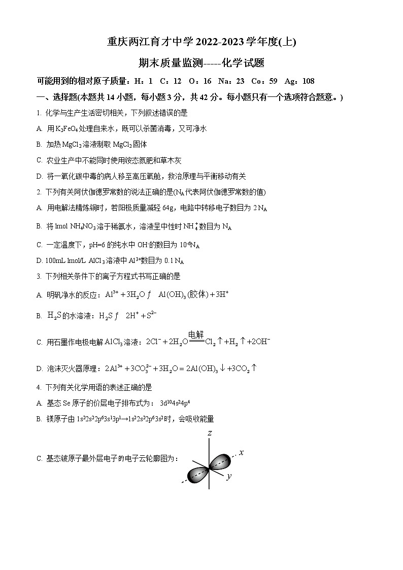 重庆市两江育才中学校2022-2023学年高二上学期期末考试化学试题无答案第1页