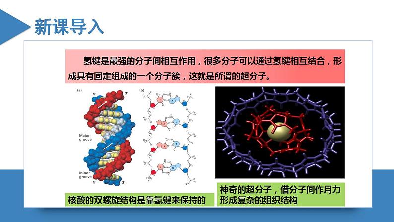 高二化学人教版2019选择性必修二3.4.2  配合物与超分子（第2课时  超分子）课件+练习含解析03