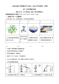 2023上海交通大学附中高二下学期开学摸底考化学试题含答案