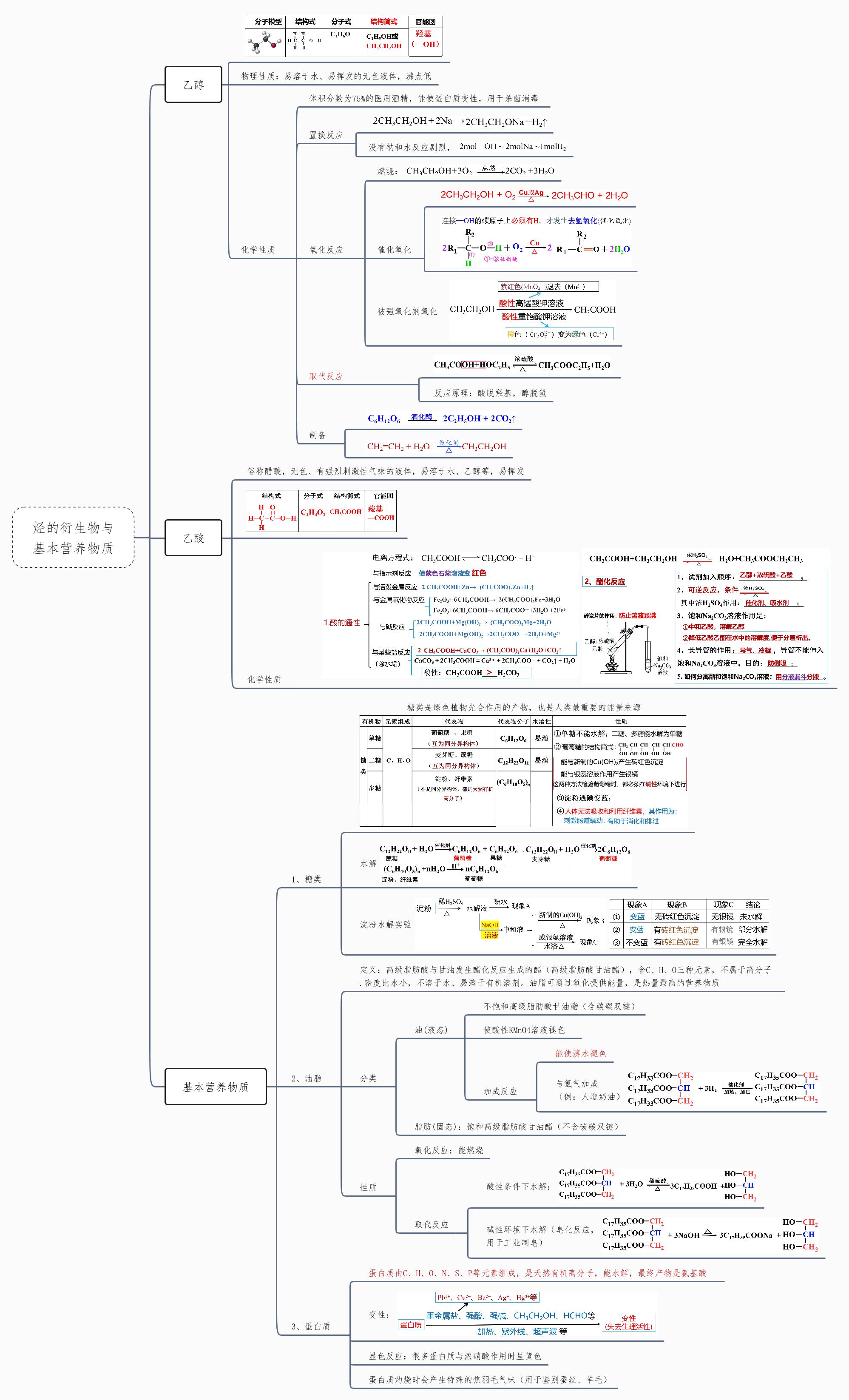 烃的衍生物的思维导图图片