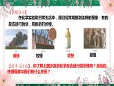 选必1第2章第1节 化学反应速率课件PPT