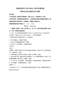 安徽省宿州市2023届高三化学质量检测（一模）试卷（Word版附解析）