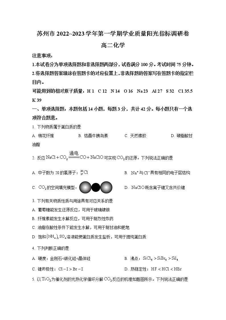 江苏省苏州市2022-2023学年高二化学上学期期末学业质量阳光指标调研试题（Word版附答案）01