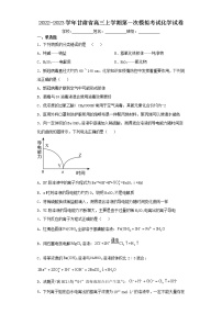 2022-2023学年甘肃省高三上学期第一次模拟考试化学试卷（含解析）